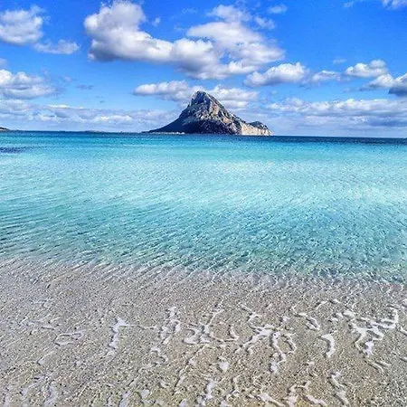 La Finestra Sulla Baia , Charming Sea View By San Teodoro, Coda Cavallo Appartamento