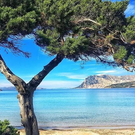 La Finestra Sulla Baia , Charming Sea View By San Teodoro, Coda Cavallo Apartment *
