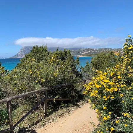 La Finestra Sulla Baia , Charming Sea View By San Teodoro, Coda Cavallo *