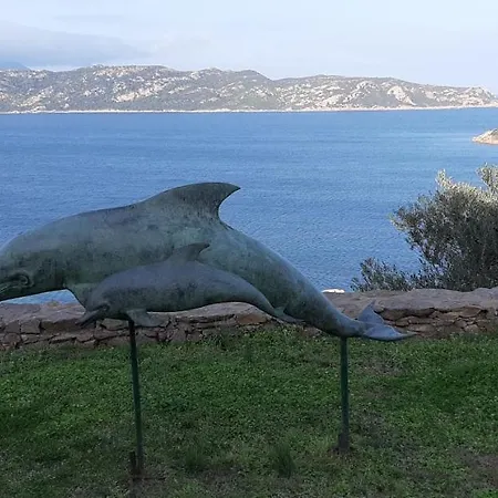 La Finestra Sulla Baia , Charming Sea View By San Teodoro, Coda Cavallo Apartment