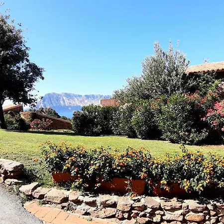 La Finestra Sulla Baia , Charming Sea View By San Teodoro, Coda Cavallo Apartment